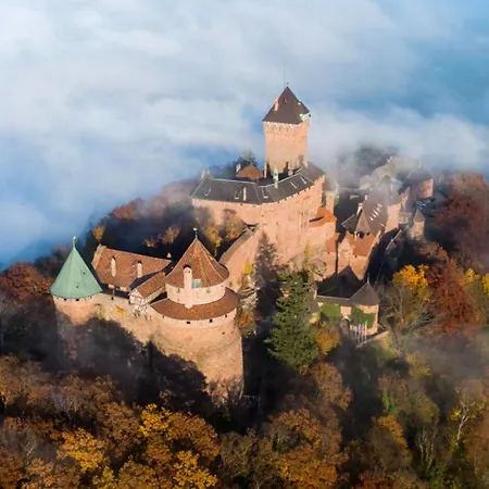 Josefina - Spa&sauna - Au Coeur De La Route Des Vins 別荘 *