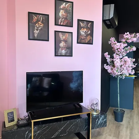 Josefina - Spa&sauna - Au Coeur De La Route Des Vins 別荘 Rorschwihr